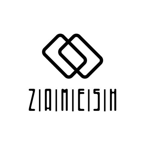 Zamesh Logo