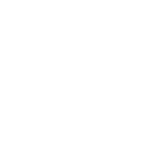 Zamesh Logo
